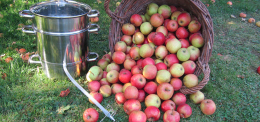 Apfelsaft selbst herstellen