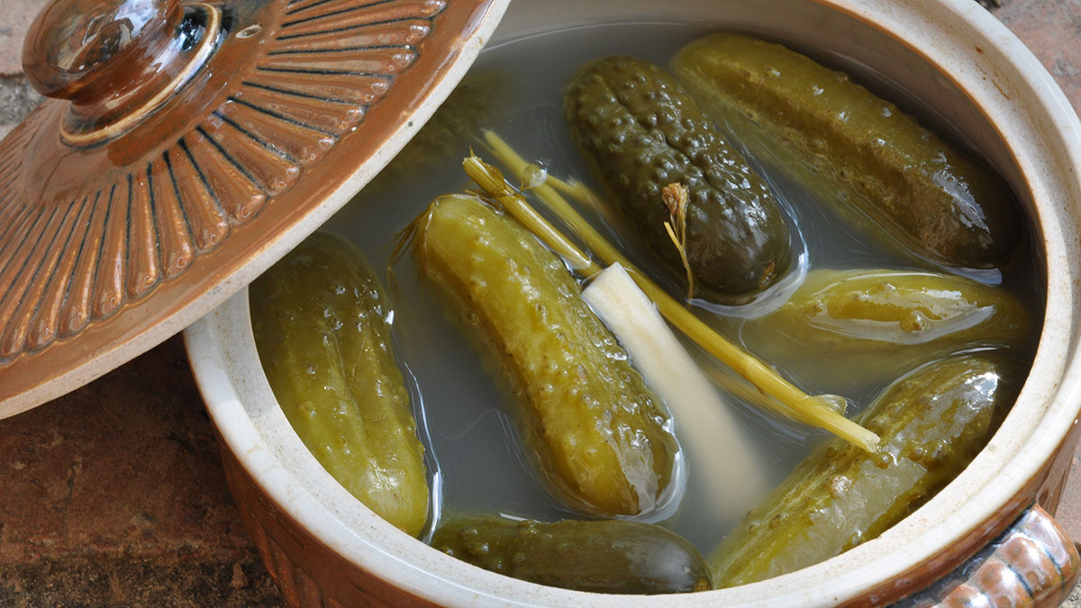 Gurkenrezepte  Nik. Schmitt Steinzeug GbR
